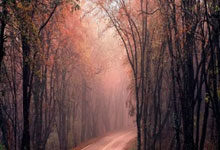 怎么在线观看浙江卫视直播？这些方法和注意事项要知道！