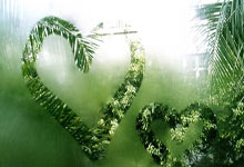 欧冠直播360高清直播靠谱吗？怎么看更流畅？