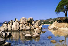 哪里能看乒乓球在线直播？不同平台直播特点与观赛技巧全解析